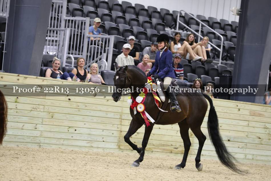 Proof 22R13_13056