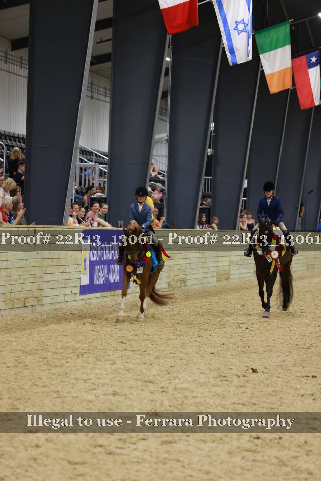 Proof 22R13_13061