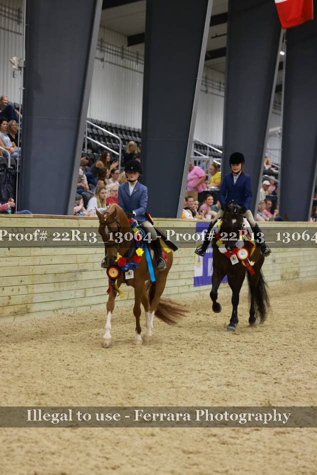 Proof 22R13_13064