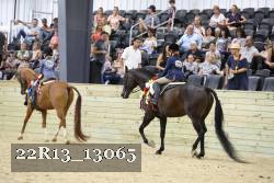 22R13_13065 proof