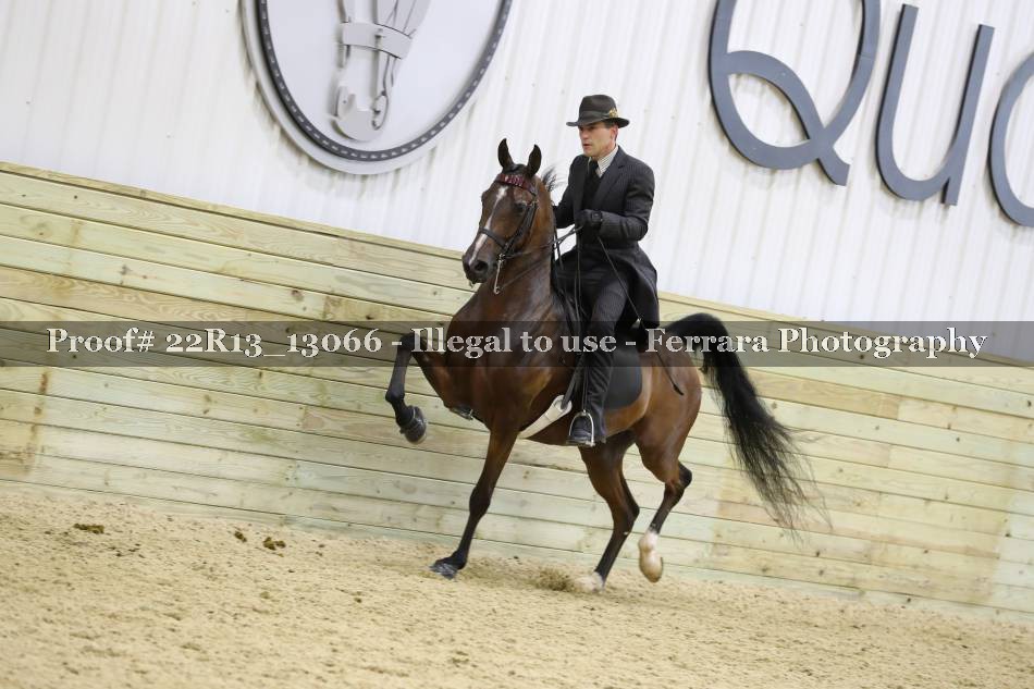 Proof 22R13_13066