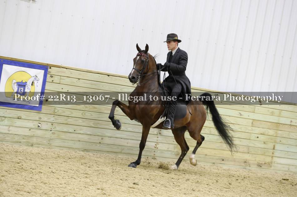 Proof 22R13_13067