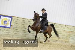 22R13_13067 proof
