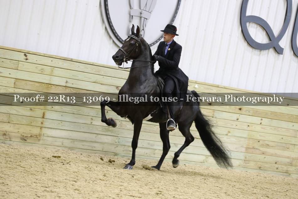 Proof 22R13_13069
