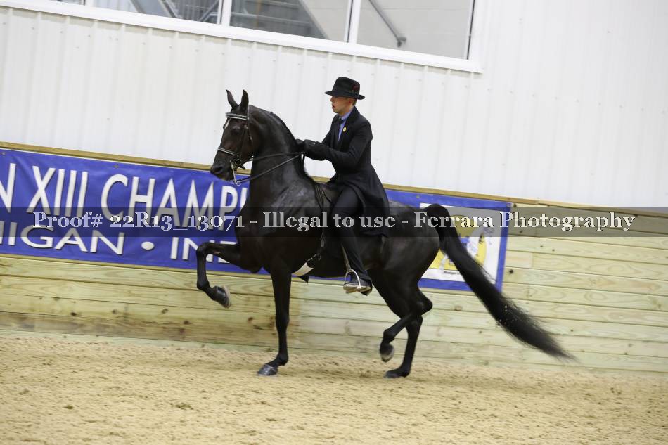 Proof 22R13_13071
