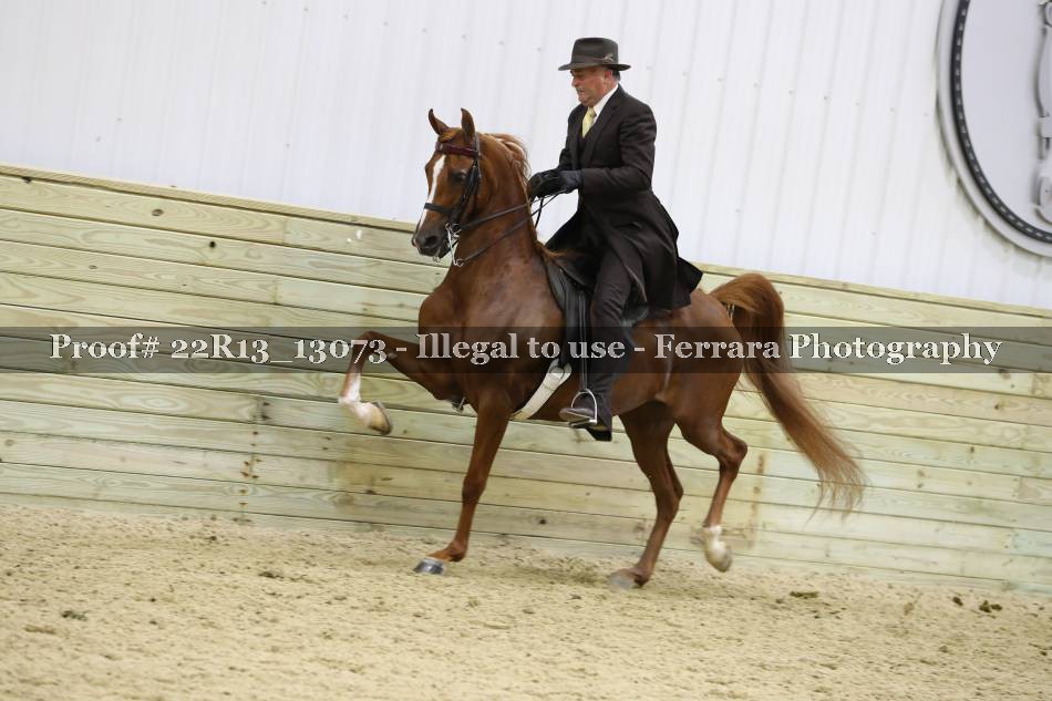 Proof 22R13_13073