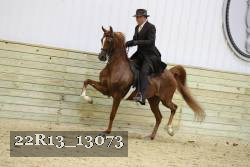 22R13_13073 proof