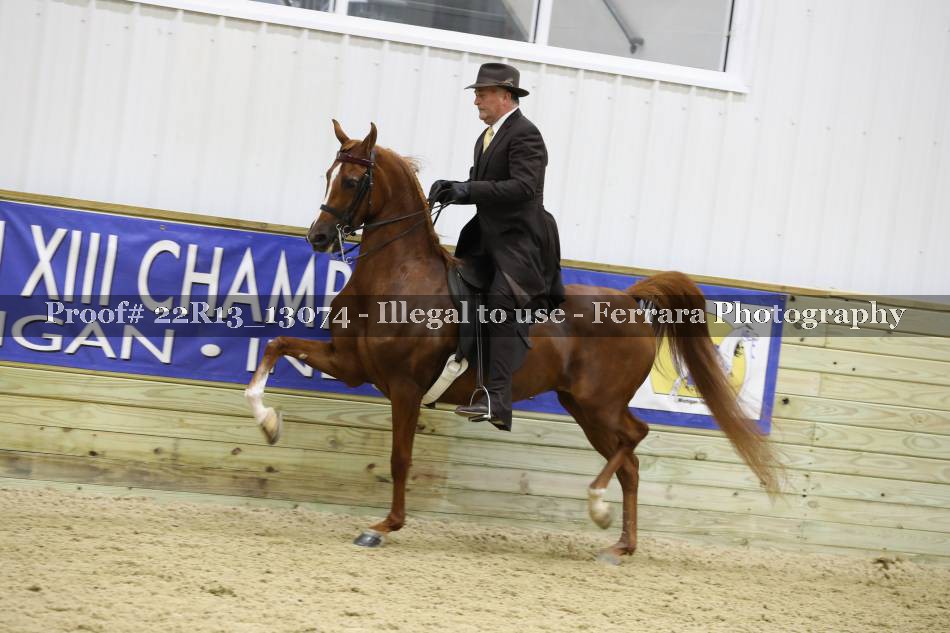 Proof 22R13_13074