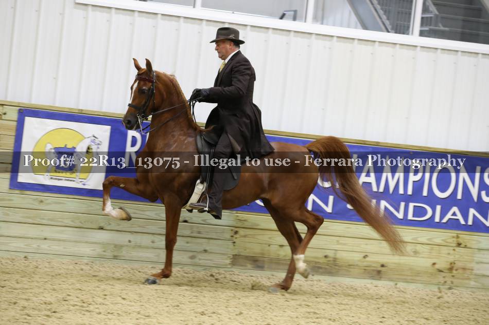 Proof 22R13_13075
