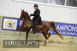 22R13_13075 proof
