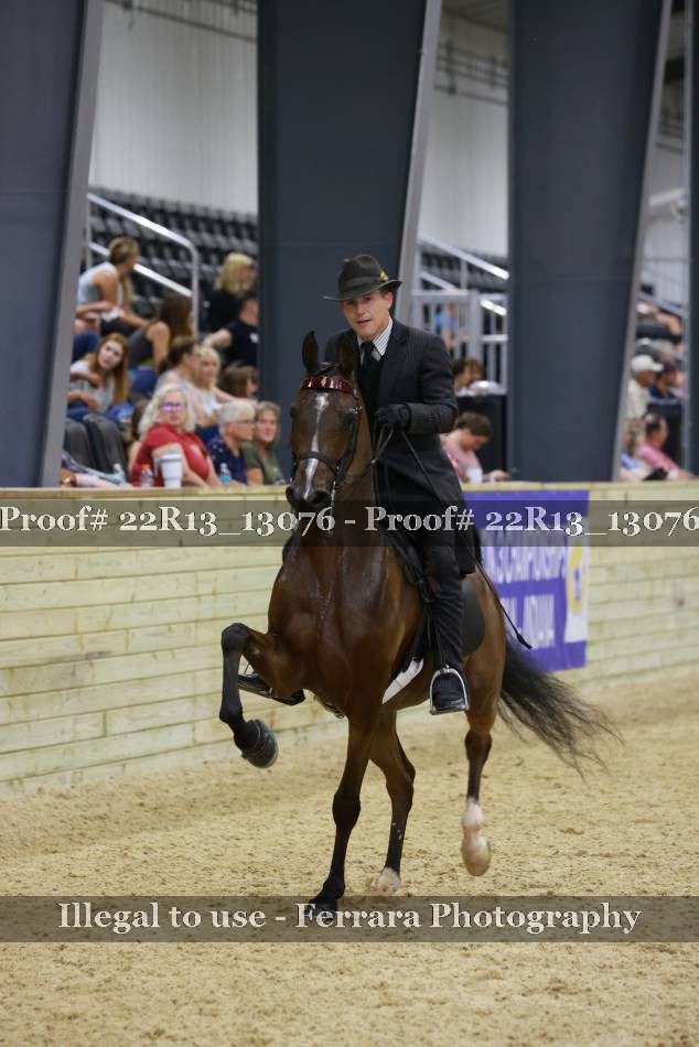 Proof 22R13_13076