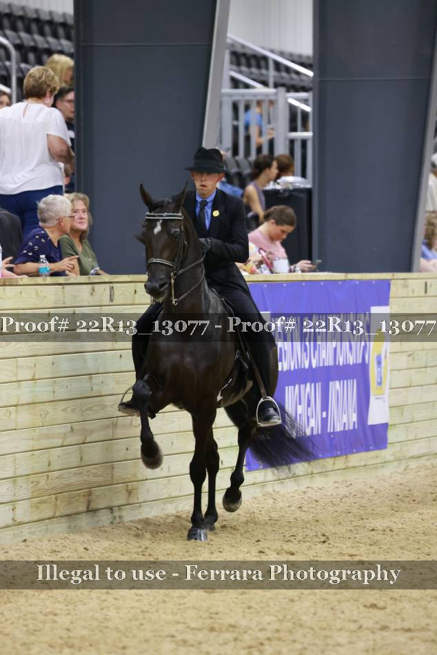Proof 22R13_13077