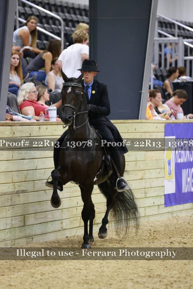 Proof 22R13_13078