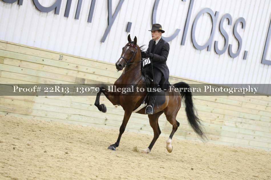 Proof 22R13_13079