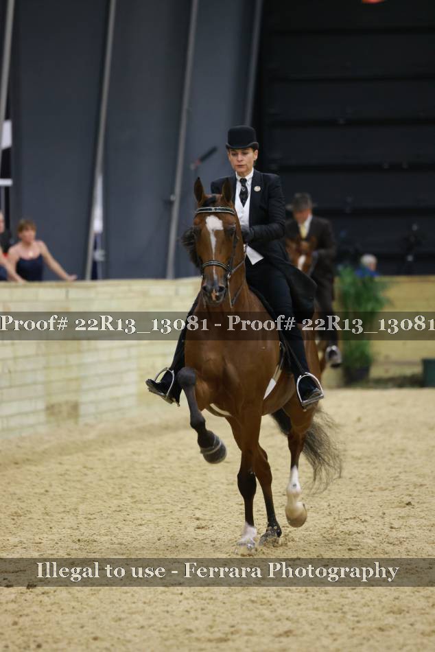 Proof 22R13_13081