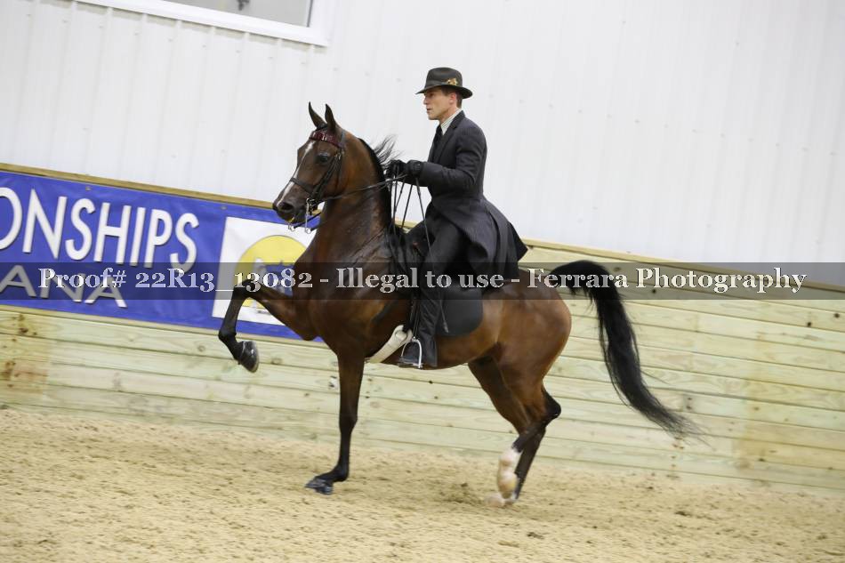 Proof 22R13_13082
