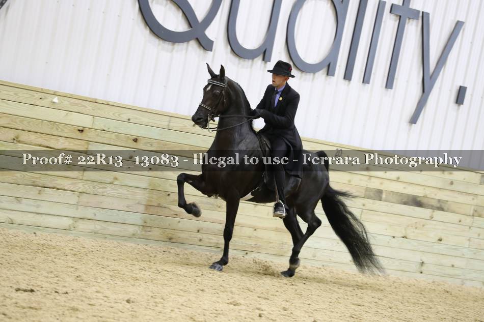 Proof 22R13_13083