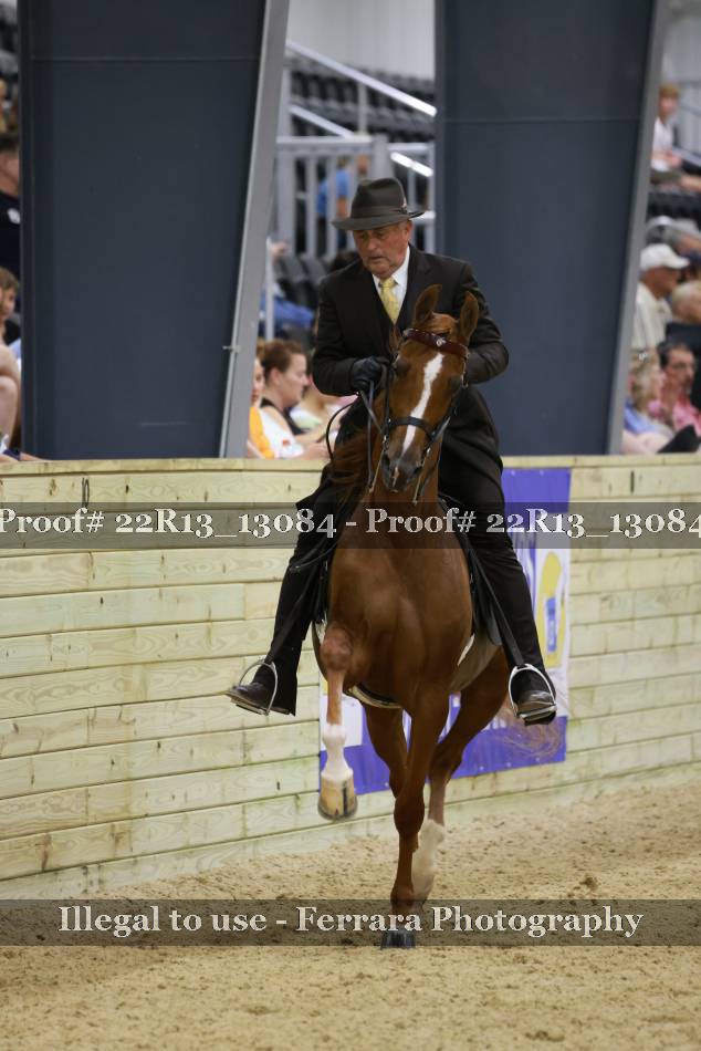 Proof 22R13_13084