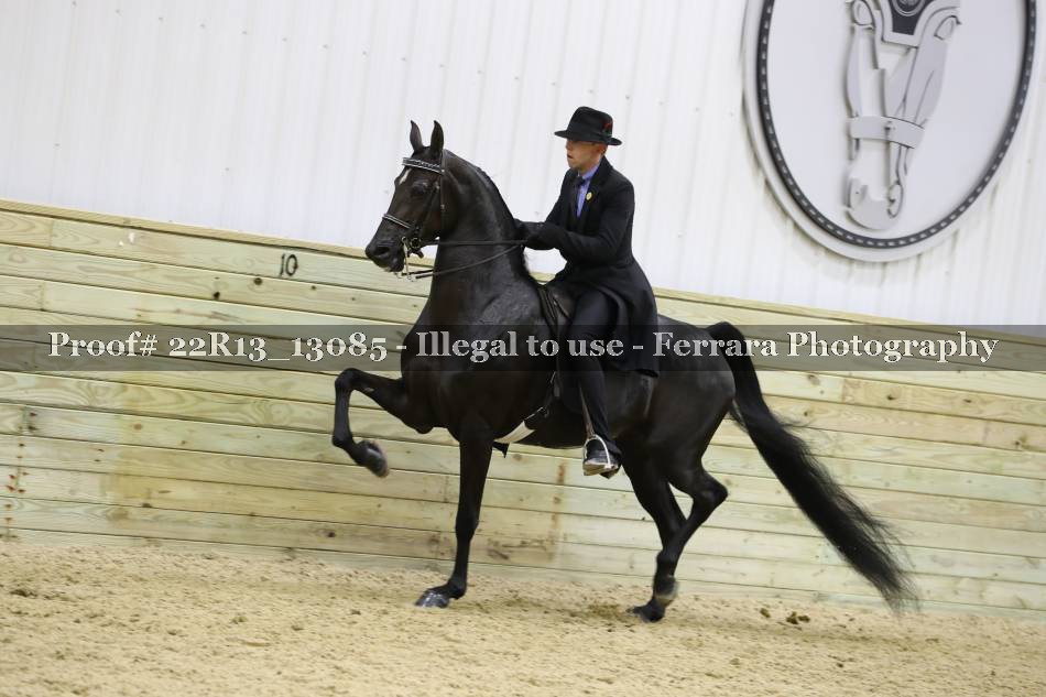 Proof 22R13_13085