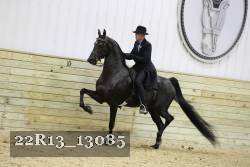 22R13_13085 proof