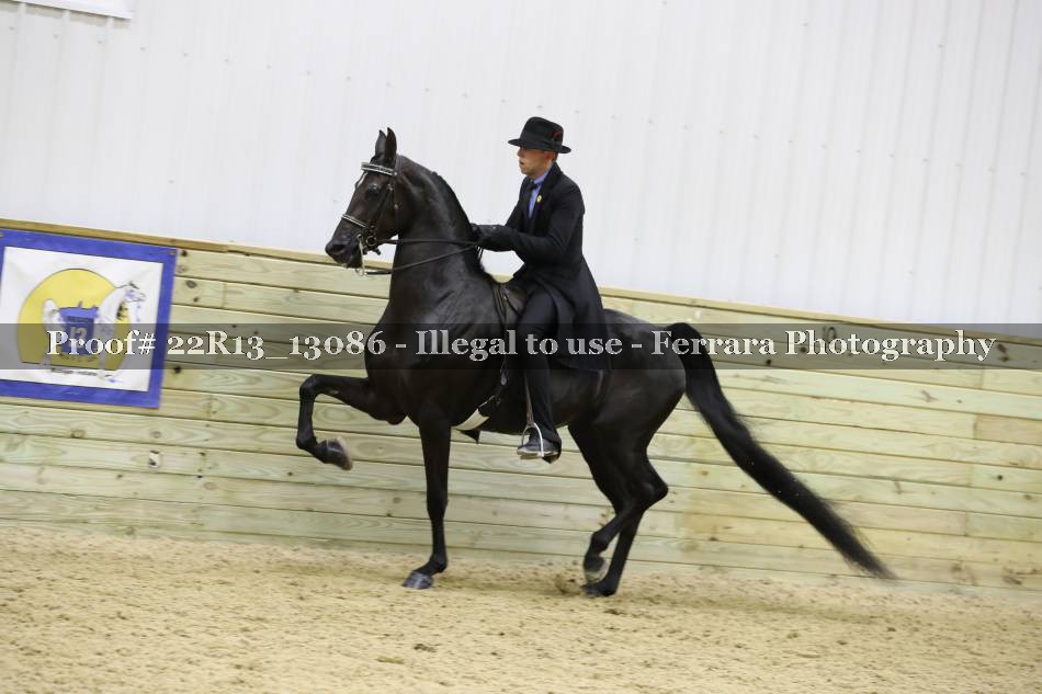 Proof 22R13_13086