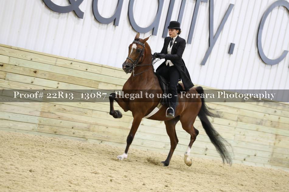Proof 22R13_13087