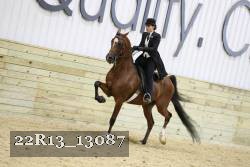 22R13_13087 proof