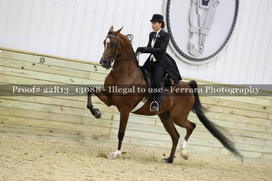 Proof 22R13_13088