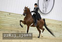 22R13_13088 proof