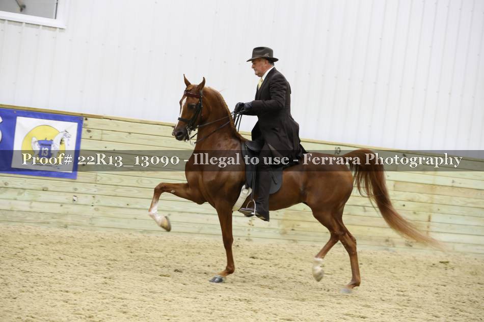 Proof 22R13_13090