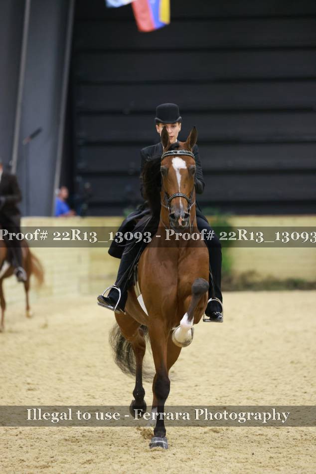 Proof 22R13_13093