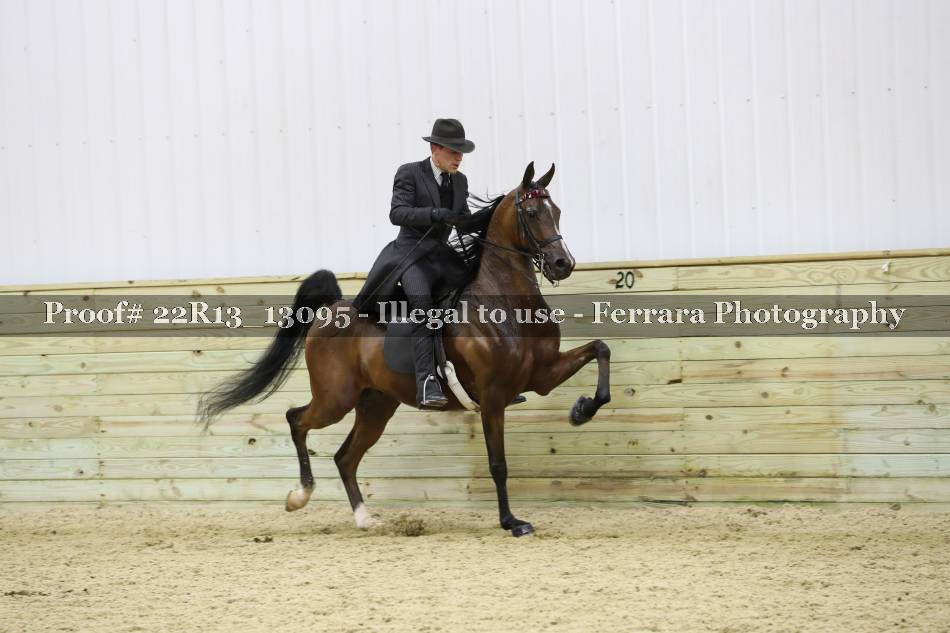 Proof 22R13_13095