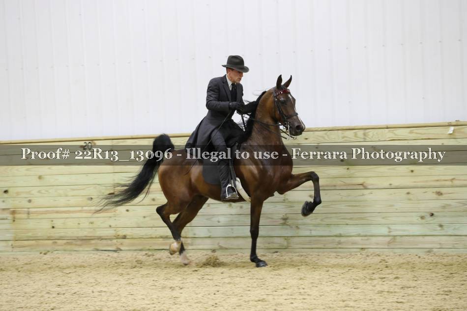 Proof 22R13_13096