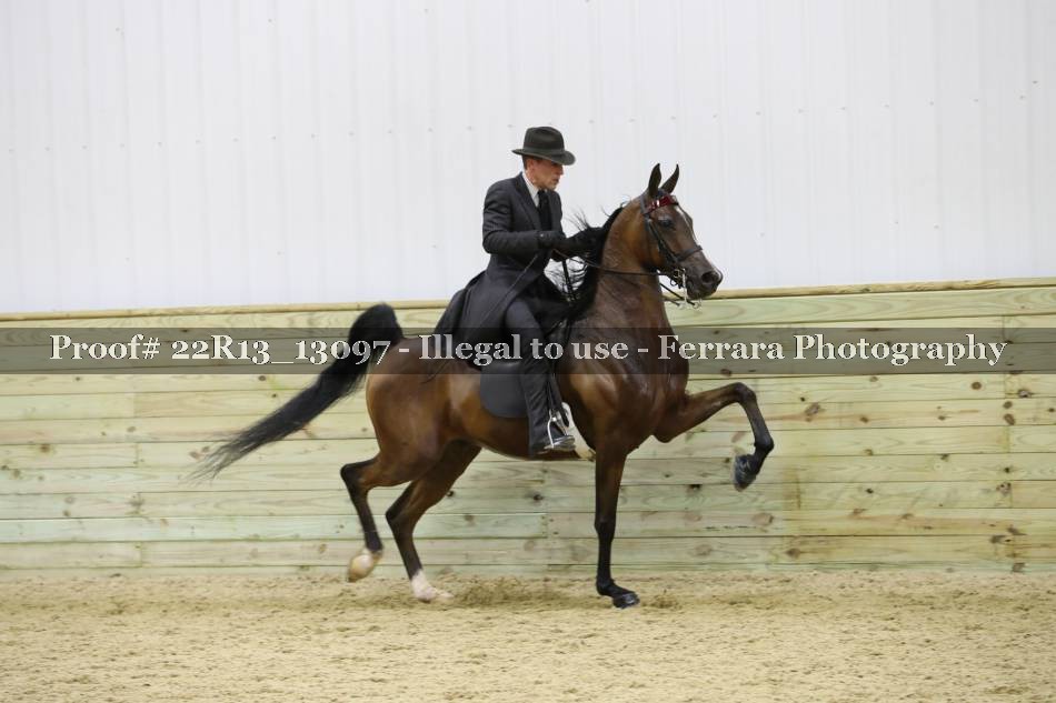 Proof 22R13_13097