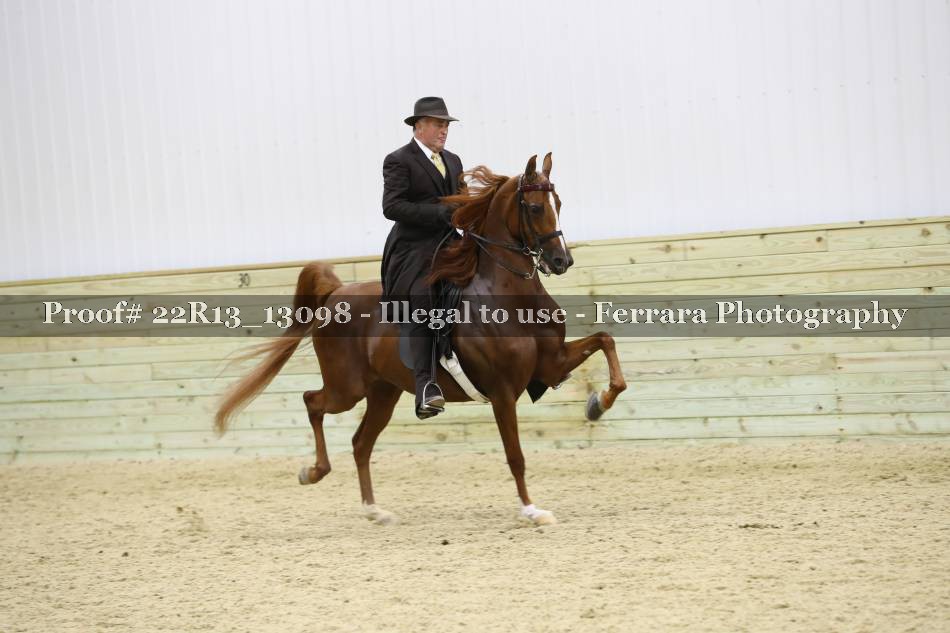 Proof 22R13_13098