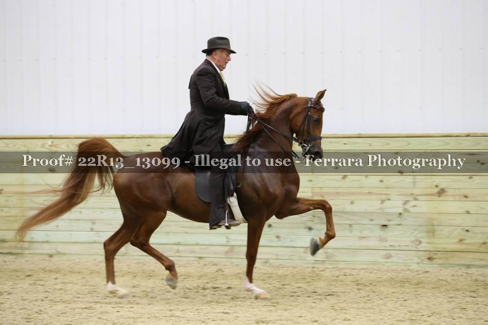 Proof 22R13_13099