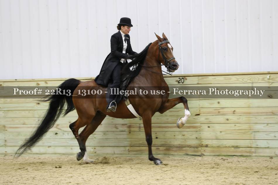 Proof 22R13_13100
