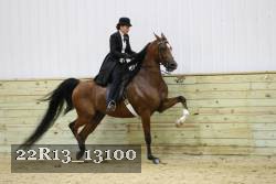 22R13_13100 proof