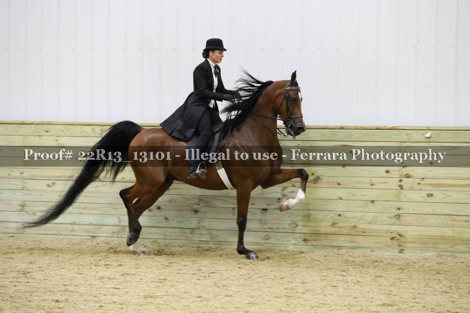 Proof 22R13_13101