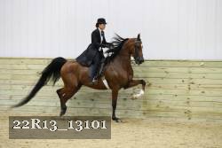 22R13_13101 proof