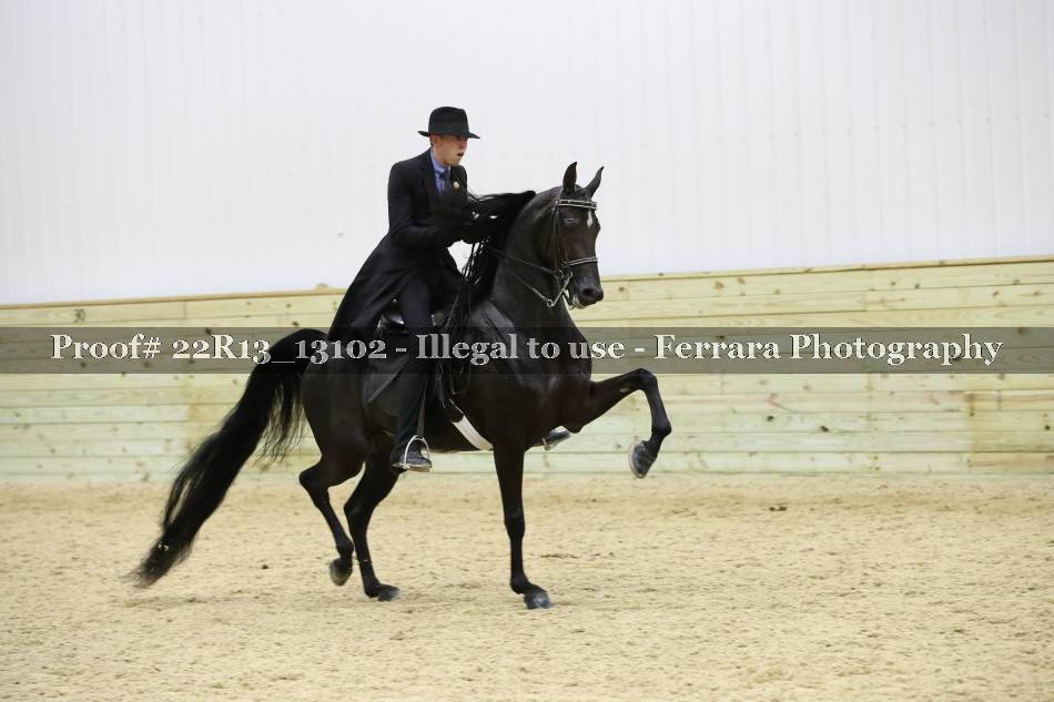 Proof 22R13_13102