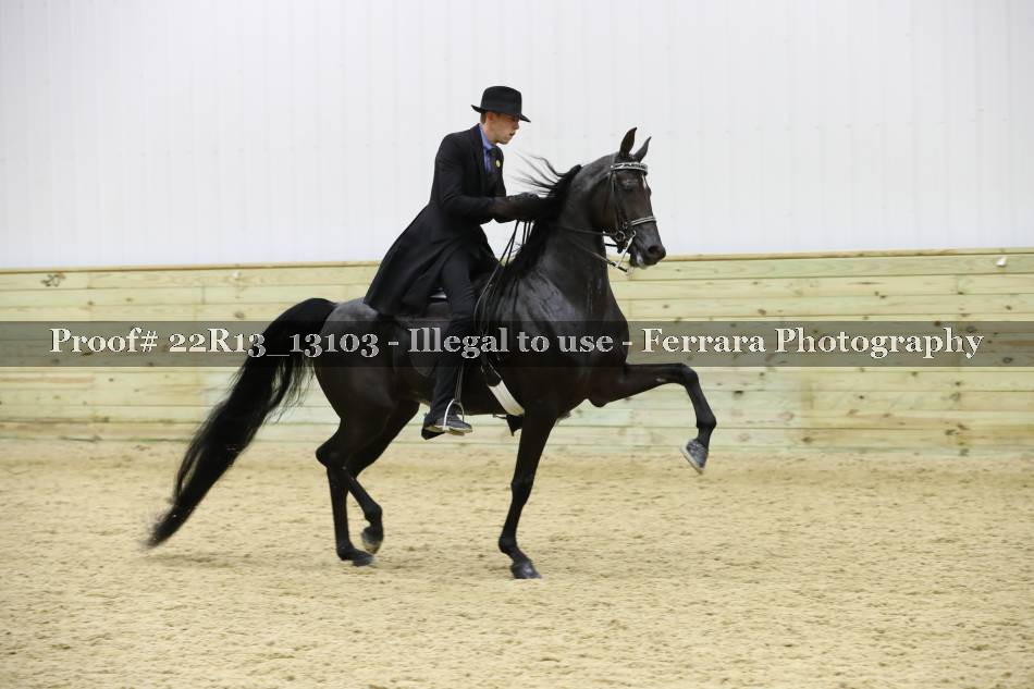 Proof 22R13_13103