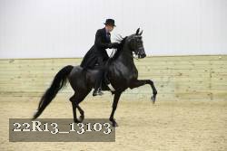 22R13_13103 proof