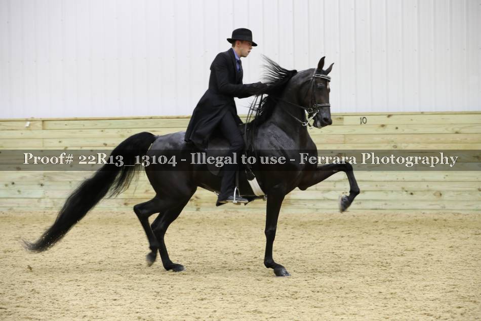 Proof 22R13_13104
