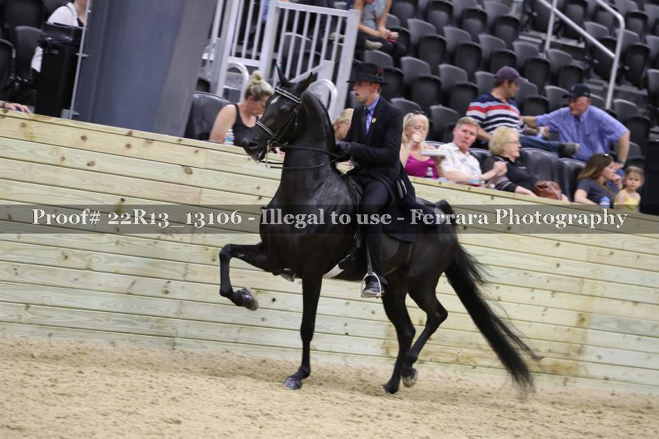 Proof 22R13_13106