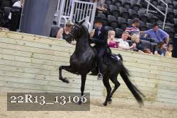 22R13_13106 proof