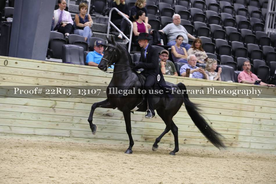 Proof 22R13_13107
