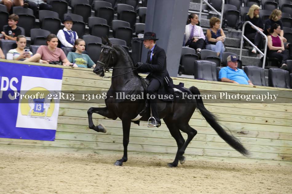 Proof 22R13_13108