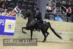 22R13_13108 proof