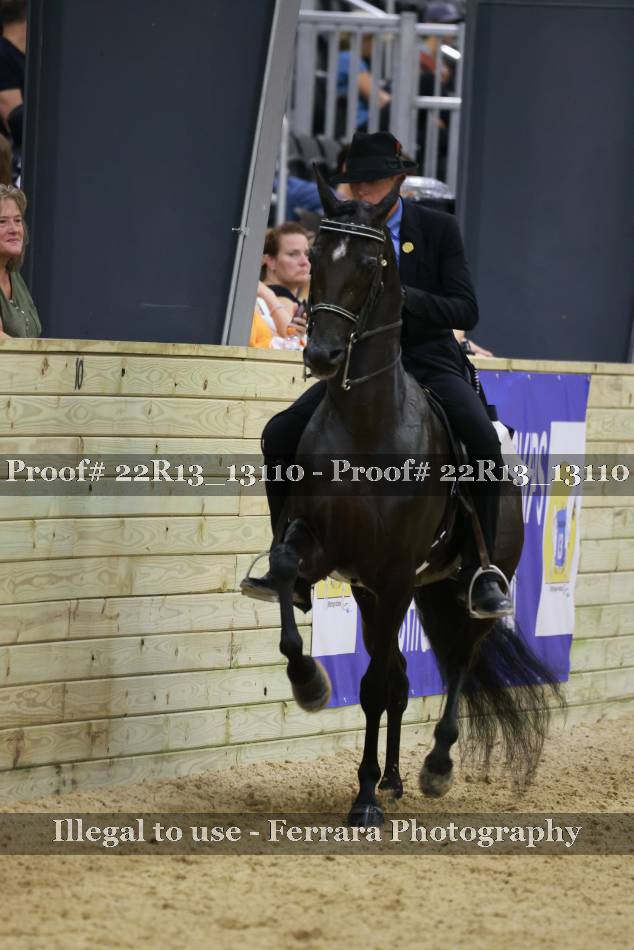 Proof 22R13_13110